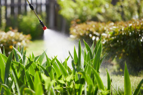24/7 Emergency Mosquito Control experts in Middlesex, NC